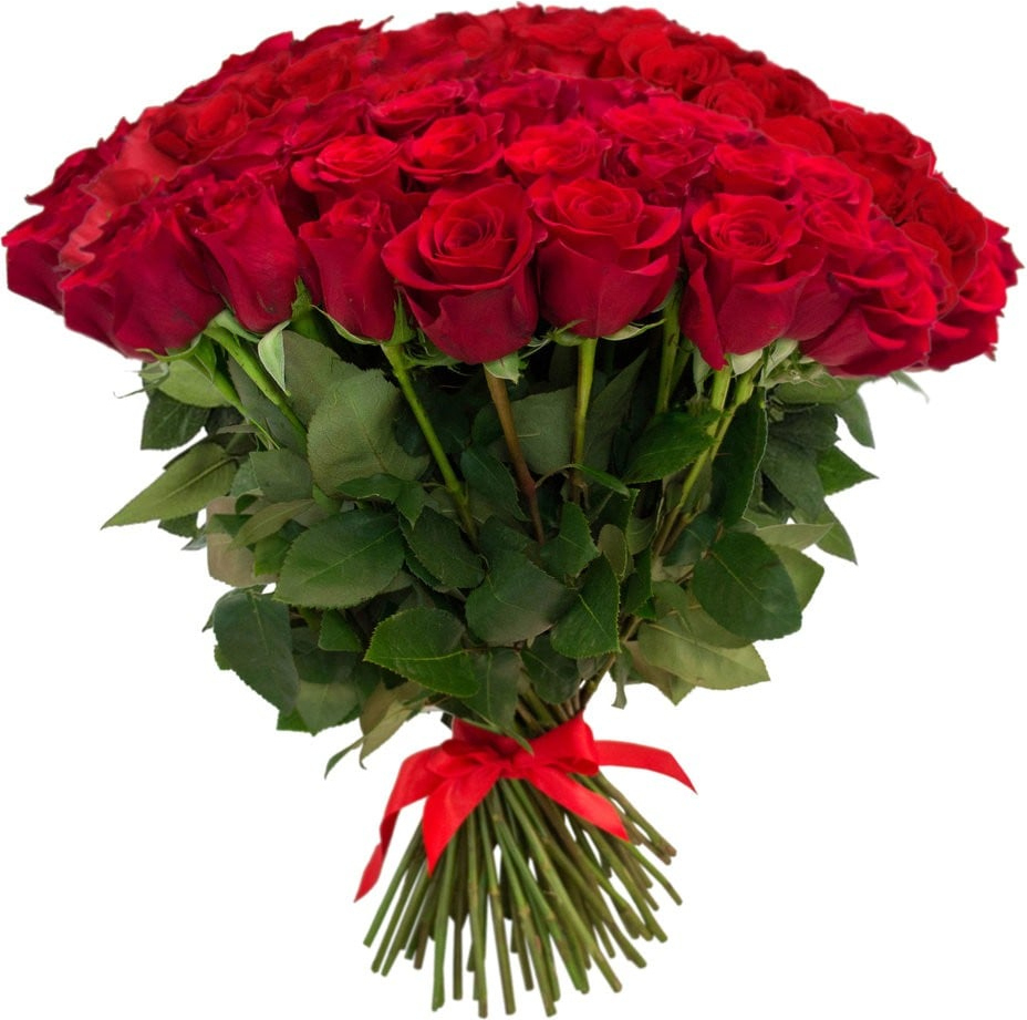 Розы Эквадор красные Розы Эквадор красные